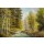 H. Buchner, TRAUTENBERGER BACH