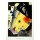 Wassily Kandinsky, Tension en Hauteur