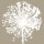 Elisabeth Verdonck, ALLIUM II