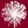 Elisabeth Verdonck, ALLIUM I