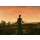 Caspar David Friedrich, Frau vor der untergehenden Sonne