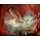 Jean-Honoré Fragonard, La Gimblette