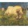 Giovanni Segantini, Horse at Gallop