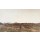 Giovanni Segantini, Alpine Triptych: Nature