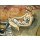 Louis Valtat, La pensive