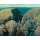 Claude Monet, Bloc de Rochers, Belle-Ile