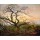 Caspar David Friedrich, Baum mit Raben