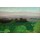 Felix Vallotton, Paysage vaudois, Romanel