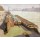 Felix Vallotton, Les chalands, bords de Seine
