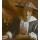 Jan Vermeer, Mädchen mit Flöte