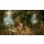 Jan BRUEGHEL DER Jüngere, Die Erde