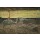 Giovanni Segantini, Contrast of light