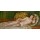 Pierre-Auguste Renoir, Grand nu