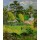 Paul Gauguin, Paysage