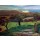 Paul Gauguin, Landschaft in der Bretagne