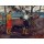 Paul Gauguin, I raro te Oviri