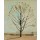 Ferdinand Hodler, Der kahle Baum