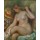 Pierre-Auguste Renoir, Badende mit übergeschlagenen Beinen und Hut