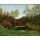 Henri Rousseau, Vue du Bois de Boulogne