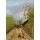 Henri Rousseau, Esquisse, Avenue de l’Observatoire