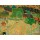 Pierre Bonnard, Grand Paysage du Midi (Le Cannet)