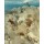 Arnold Böcklin, Pan erschreckt einen Hirten