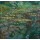 Claude Monet, Nymphéas (Seerosen)