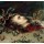 Peter Paul Rubens, Das Haupt der Medusa