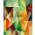 Robert Delaunay, Une Fenêtre, Etude pour les trois Fenêtres