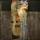 Gustav Klimt, Die drei Lebensalter der Frau 