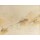 JOSEPH MALLORD WILLIAM TURNER, Rudesheim on the Rhine