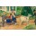 Edvard Munch, Der Ziegenwagen