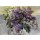Lovis Corinth, Stillleben mit Blumen