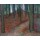 Piet Mondrian, Wald