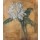 Piet Mondrian, Chrysanthemum
