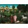 Lucas Cranach der Ältere, Das Paradies