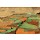 Egon Schiele, Felderlandschaft