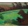 Felix Vallotton, Coup de vent, Honfleur