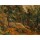 Paul Cézanne, Interieur de forêt