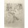 Henri de Toulouse-Lautrec, Guy et Mealy, dans Paris qui marche