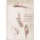 Leonardo da Vinci, Anatomiestudien: Oberflächenanatomie der Schulter / Knochen des Fußes.