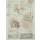 Leonardo da Vinci, Anatomiestudien