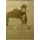 Egon Schiele, Kranker Russe