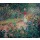 Claude Monet, Le jardin de Monet à Giverny