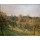 Camille Pissaro, Sunset at Eragny-sur-Epte, Autumn, 1902
