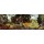 Piero di Cosimo, The Forest Fire, 1505