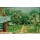 Pierre Bonnard, Blauer Balkon