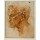 MICHELANGELO BUONARROTI, Head of a faun