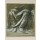 Leonardo da Vinci, Gewandstudie