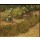 Vincent van Gogh, Gartenecke mit Blumen und Schmetterlingen